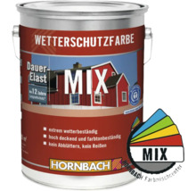 Farbe für den Wetterschutz in einer Dose mit Farbmischcenter