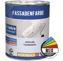 HORNBACH Fassadenfarbe im Wunschfarbton mischen lassen-thumb-0