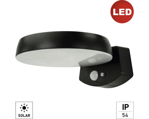 LED Aufbauleuchte Wandleuchte e2 Solaris 2 W neutralweiß 1-flammig IP 54 anthrazit LED Solar Wandleuchte mit Bewegungsmelder