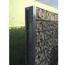 Gabionenwand mit Metallpfosten und Steinfüllung