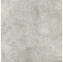 Feinsteinzeug Bodenfliese Borido 59,8x59,8 cm lichtgrau matt rektifiziert