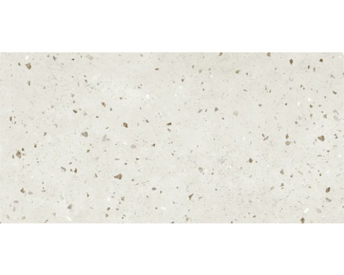 Steinzeug Wandfliese Posito 29,8x59,8 cm grau matt rektifiziert
