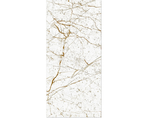 Duschrückwand Rock the Wall 2650x1230x4 mm Marmor gold Marmorfliese mit Marmorierung