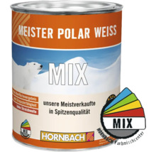 HORNBACH Meister Polarweiß Wandfarbe im Wunschfarbton mischen lassen-thumb-0