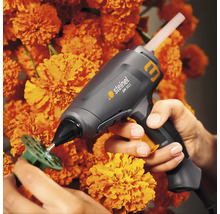 Steinel Heißklebepistole beim Anbringen von Klebstoff auf einer grünen Kunststoffscheibe, umgeben von orangefarbenen Blumen.