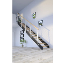 Pertura Wangentreppe Libra Eiche rustikal ohne Setzstufen Pulverbeschichtet Seitenwange Schwarz gerade 87 cm 14 Stufen / 15 Steigungen Stabgeländer