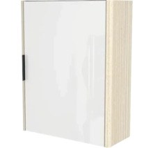 Hängeschrank mit einer Tür und einem Griff