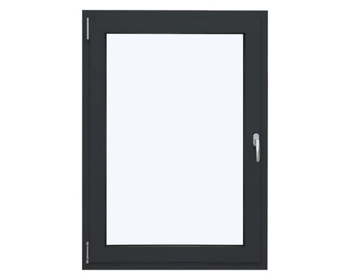 Fenster mit Rahmen und Griff