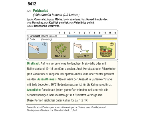 Informationen zu Feldsalat-Aussaat und Ernte