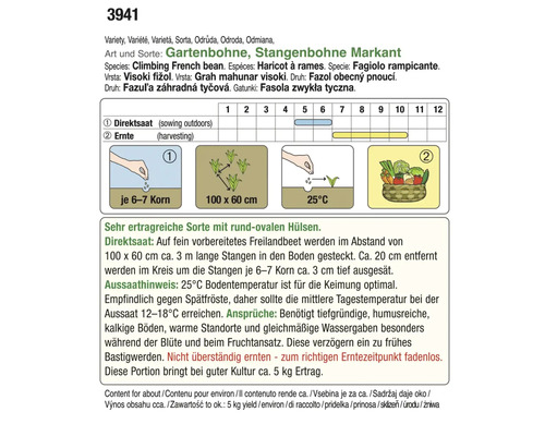 Informationen zur Aussaat von Stangenbohnen