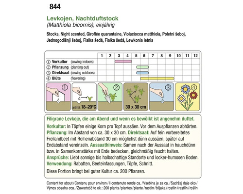 Aussaatanleitung für Levkojen, Nachtduftstock