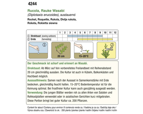 Informationen zu Rucola, Rauke Wasabi, Direktsaat und Ernte