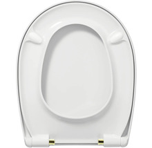 Toilettendeckel aus Kunststoff