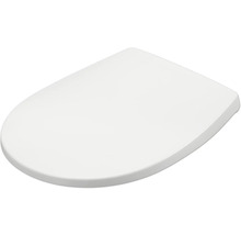 Toilettendeckel