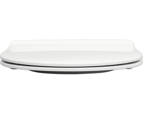 Toilettendeckel aus Sanitärkeramik