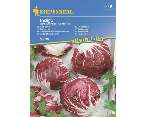 Gemüsesamen Kiepenkerl Radicchio 'Indigo'
