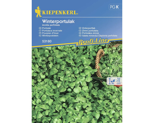 Gemüsesamen Kiepenkerl Winterportulak