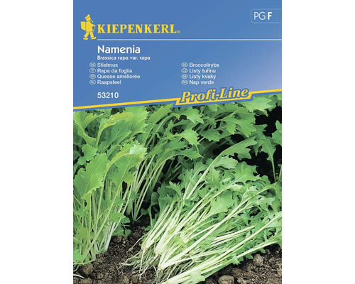 Gemüsesamen Kiepenkerl Stielmus 'Namenia'