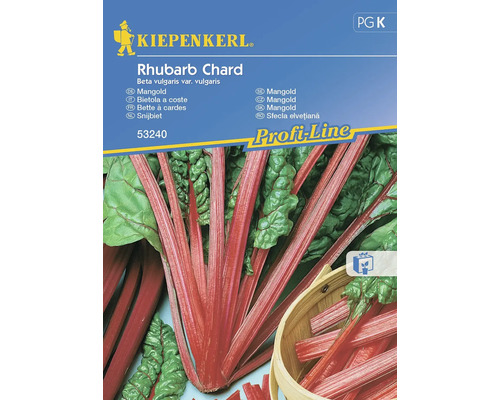 Gemüsesamen Kiepenkerl Mangold 'Rhubarb Chard'