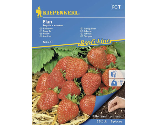 Gemüsesamen Kiepenkerl Erdbeere 'Elan'