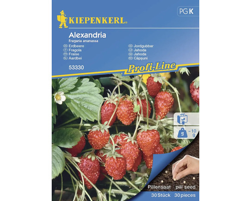 Gemüsesamen Kiepenkerl Erdbeere 'Alexandria'
