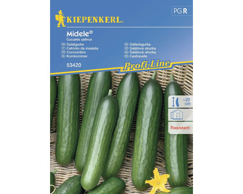 Gemüsesamen Kiepenkerl Salatgurke 'Midele®'