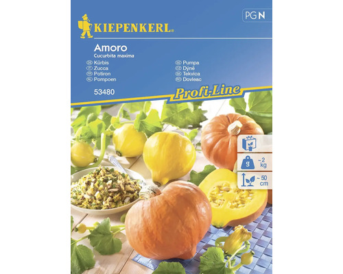 Gemüsesamen Kiepenkerl Kürbis 'Amoro'
