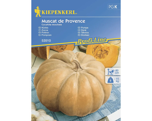Gemüsesamen Kiepenkerl Kürbis 'Muscat de Provence'