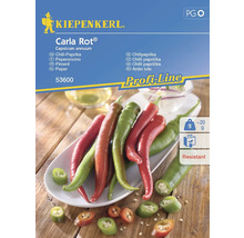 Kiepenkerl Carla Rot Chili-Paprika Samenpackung