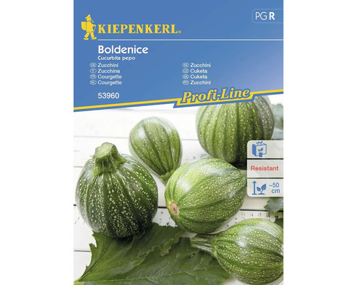 Gemüsesamen Kiepenkerl Zucchini 'Boldenice'