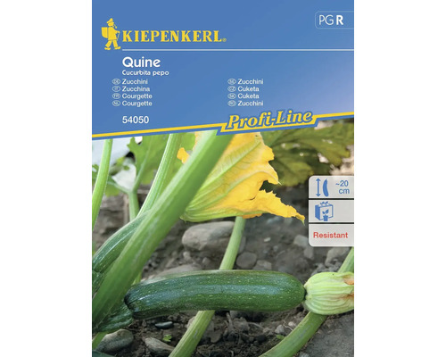 Gemüsesamen Kiepenkerl Zucchini 'Quine'