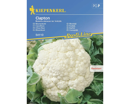 Gemüsesamen Kiepenkerl Karfiol 'Clapton'