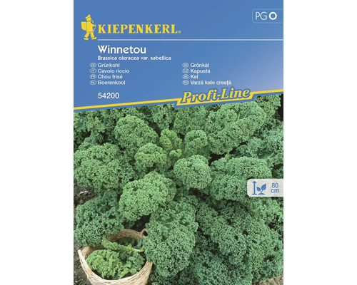 Gemüsesamen Kiepenkerl Grünkohl 'Winnetou'