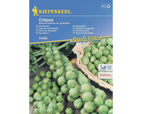 Gemüsesamen Kiepenkerl Kohlsprossen 'Crispus'