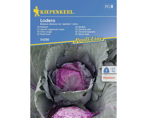 Gemüsesamen Kiepenkerl Rotkraut 'Lodero'
