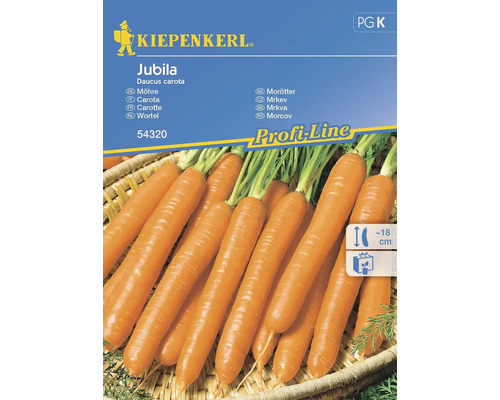 Gemüsesamen Kiepenkerl Karotte 'Jubila'