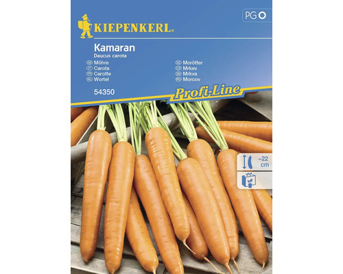 Gemüsesamen Kiepenkerl Karotte 'Kamaran'