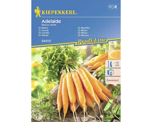 Gemüsesamen Kiepenkerl Karotte 'Adelaide'