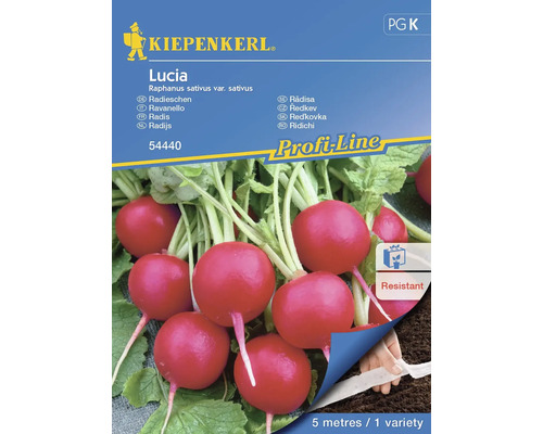 Gemüsesamen Kiepenkerl Radieschen 'Lucia'