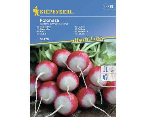 Gemüsesamen Kiepenkerl Radieschen 'Poloneza'
