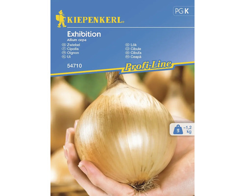 Gemüsesamen Kiepenkerl Zwiebel 'Exhibition'