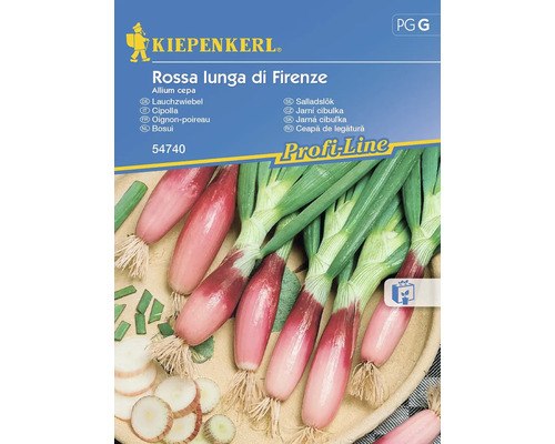 Gemüsesamen Kiepenkerl Zwiebel 'Rossa Lunga di Firenze'