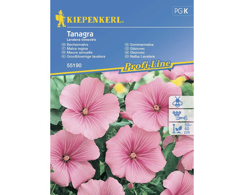 Blumensamen Kiepenkerl Bechermalve 'Tanagra'