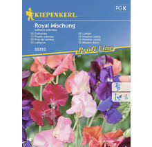 Kiepenkerl Royal Mischung Duftwicke Saatgutpackung