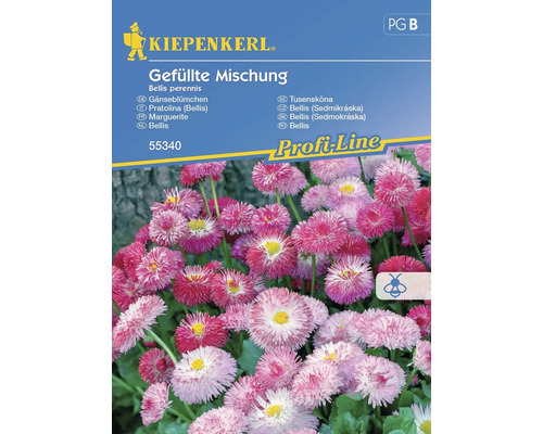 Blumensamen Kiepenkerl Gänseblümchen 'Gefüllte Mischung'