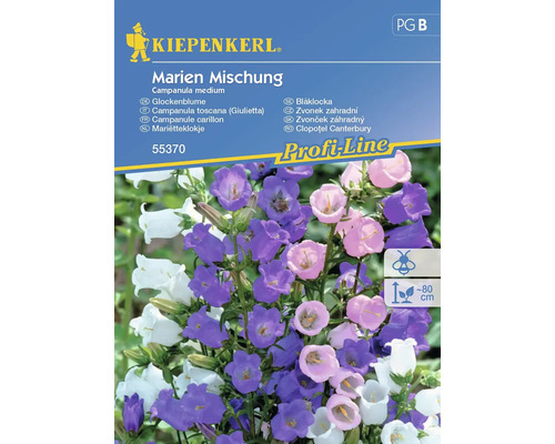 Blumensamen Kiepenkerl Glockenblume 'Marien Mischung'