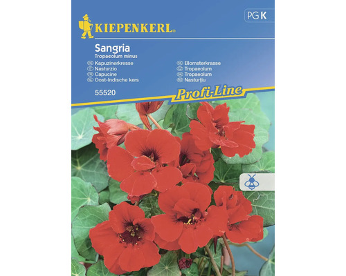 Blumensamen Kiepenkerl Kapuzinerkresse 'Sangria'
