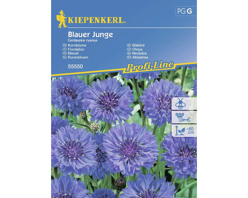 Blumensamen Kiepenkerl Kornblume 'Blauer Junge'