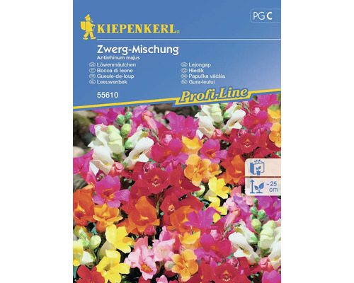 Blumensamen Kiepenkerl Löwenmäulchen 'Zwerg-Mischung'