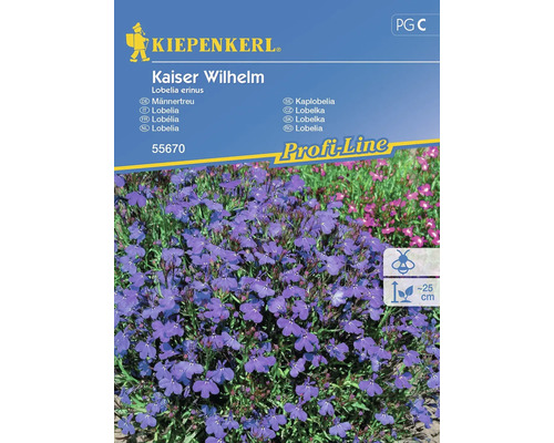Blumensamen Kiepenkerl Lobelie, Männertreu 'Kaiser Wilhelm'